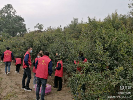 1702279821964721.jpg 1702279660683.jpg