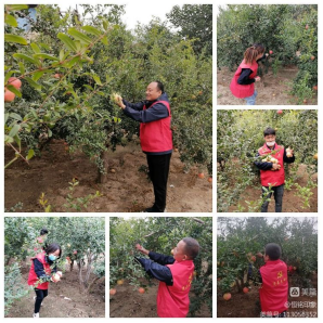 1702279826420432.jpg 1702279670413.jpg