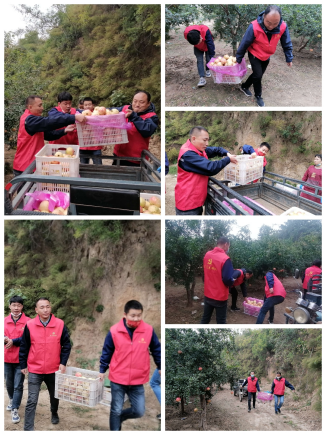 1702279842822884.jpg 1702279678446.jpg